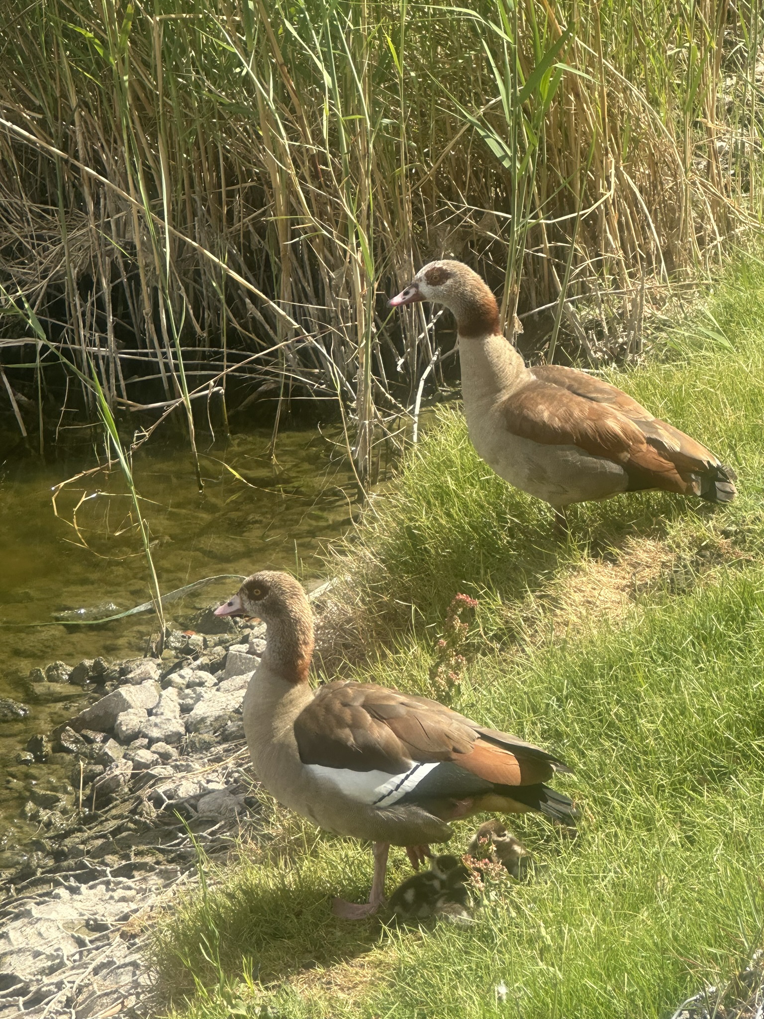 South Africa - Image 24